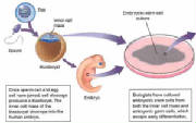 stemcellmap.jpg